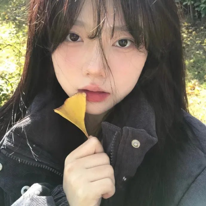想爱就爱2.5